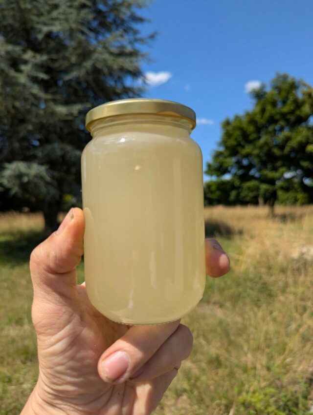 Le miel d'acacia est enfin mis en pot. Très pur cette année, il sera disponible sur le marché d'Alençon à partir de samedi.