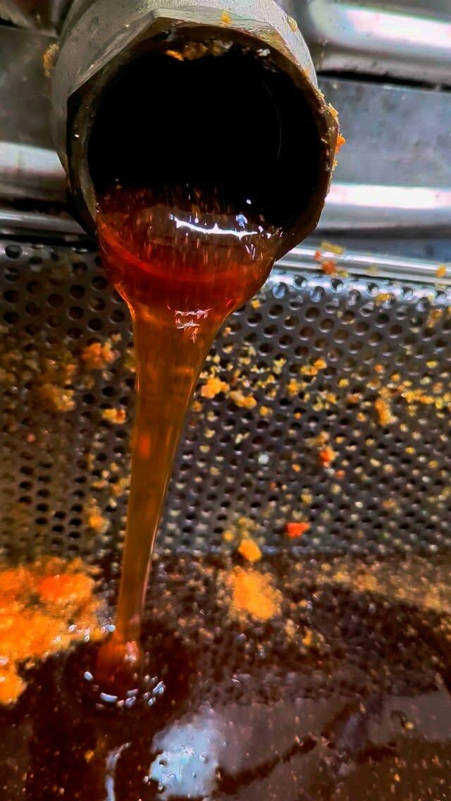 Pas présent au marché hier. C'est la récolte d'été, faut pas traîner (entre les averses). Ici extraction de miel de forêt, avec un peu de miellat. Mais je serai présent samedi au marché !