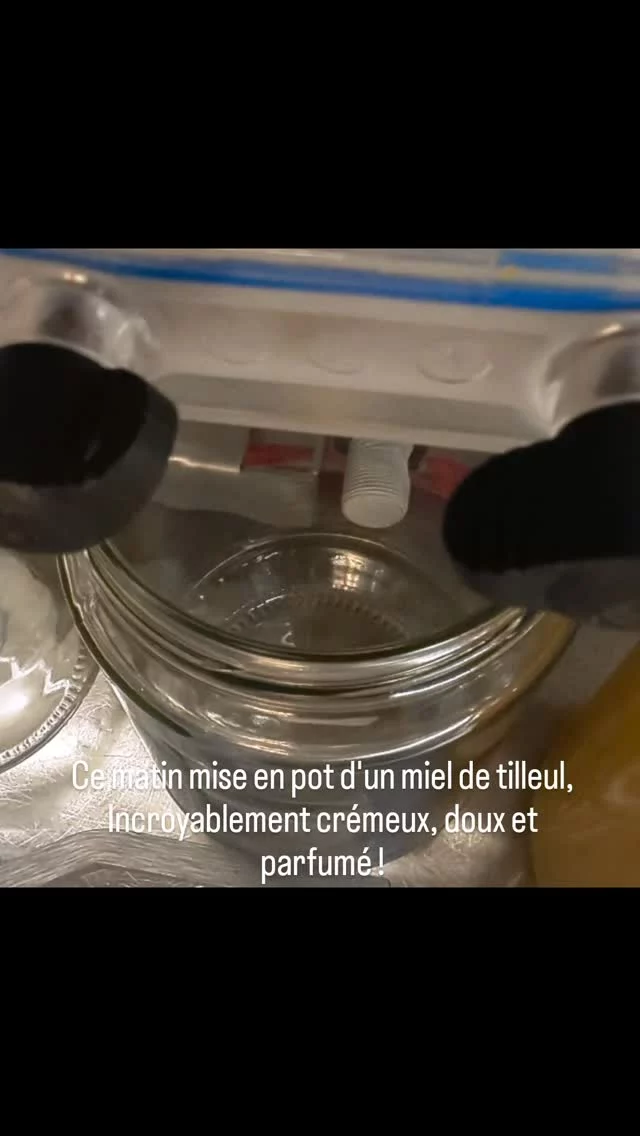 Mise en pot d'un miel de tilleul ce matin. Crémeux, doux et parfumé, vous me trouverez sur le marché d'Alençon le jeudi et le samedi matin.
